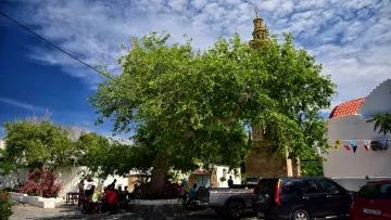 Lachania Village, Rhodes
