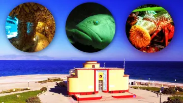 Ενυδρείο Ρόδου : Μια ολοκληρωμένη συλλογή ζωντανών θαλάσσιων οργανισμών που αξίζει να δείτε 