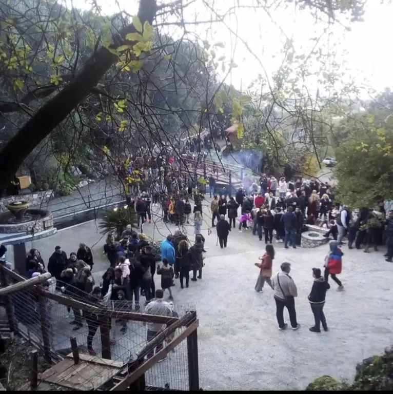 Φάτνη Σαλάκου : Έσπασε κάθε ρεκόρ επισκεψιμότητας