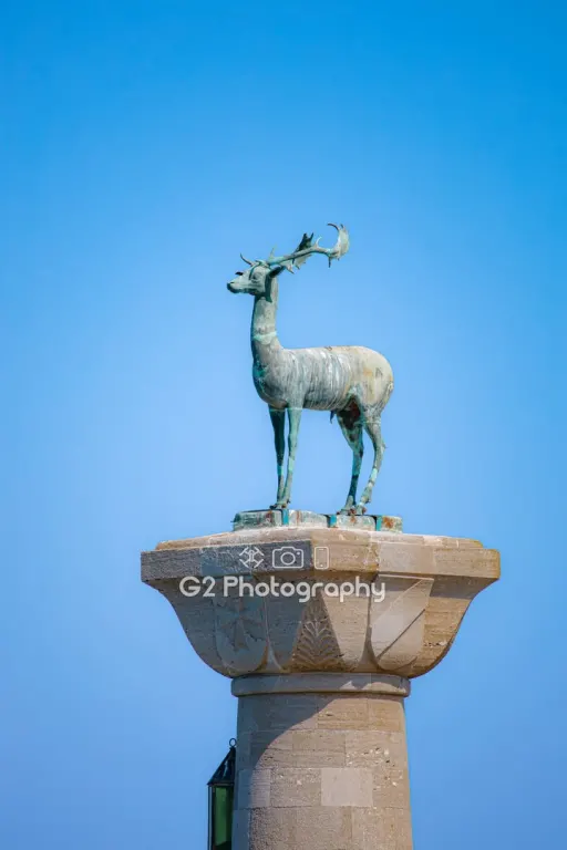 The Dama Dama of Rhodes: The Living Legend and Symbol of the Island